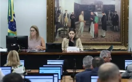 Presidente da CCJ pauta pedido de audiência sobre violações do TSE