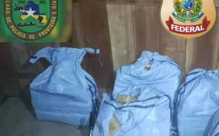 PF e PM apreendem 163kg de maconha em Rondônia