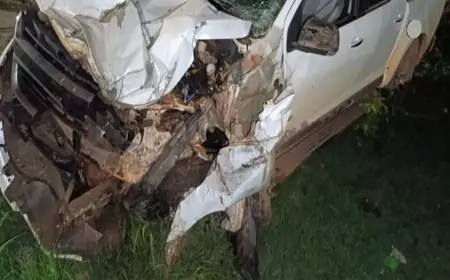 VÍDEO - Adolescente pegou a Caminhonete do avô escondida e colide, causando danos materiais