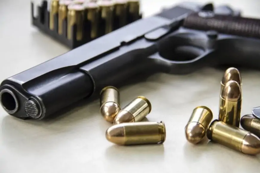 Posse e Porte de Armas: PLP 108/23 Avança, Estados Podem Ter Regras Próprias para Posse e Porte de Armas