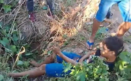 Adolescente Atropelado por Carro na Avenida Brasil: Falta de Prestação de Socorro Revolta Populares