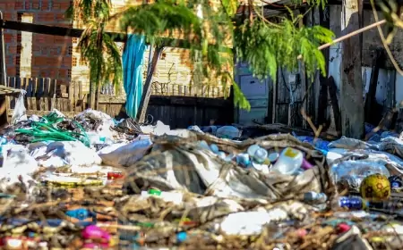 Brasil tem 1942 cidades em risco de desastre ambiental, e Ji-Paraná é uma delas