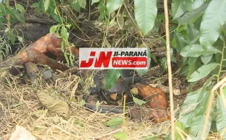 Corpo de Travesti é Encontrado em Ji-Paraná