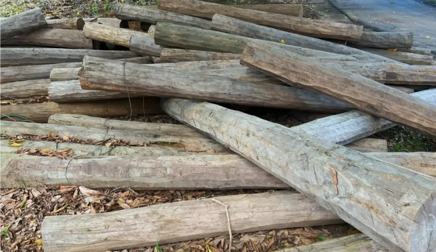 JI-PARANÁ – COMANDO REGIONAL DE POLICIAMENTO II ANUNCIA LEILÃO DE MADEIRAS