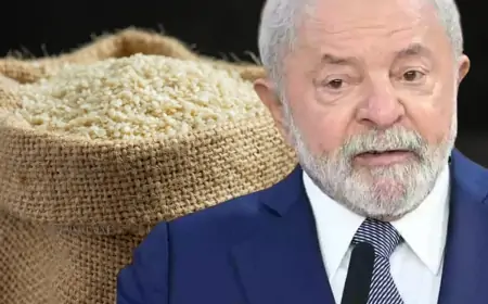 Governo Lula anula leilão do arroz devido a suspeita de fraude