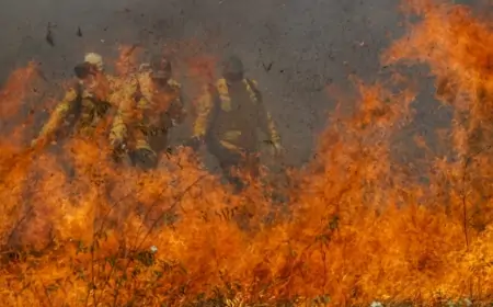 Sob governo Lula, pantanal e cerrado têm maior número de incêndios desde 1998