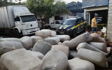 PRF Apreende 4 toneladas de mercadorias com notas fiscais irregulares em Rondônia