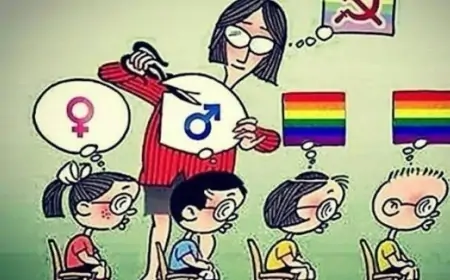 MEC prepara cotas para trans nas universidades públicas