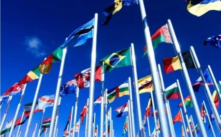 Organização jurídica internacional vai à Corte Interamericana contra escalada da censura no Brasil