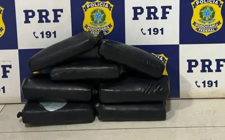 PRF Apreende skunk em abordagem de rotina