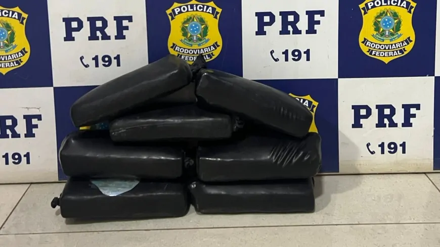 PRF Apreende skunk em abordagem de rotina