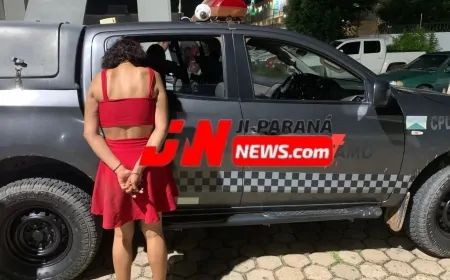 Ação do Patamo Durante Patrulhamento Noturno Cumprimento de Mandado de Prisão