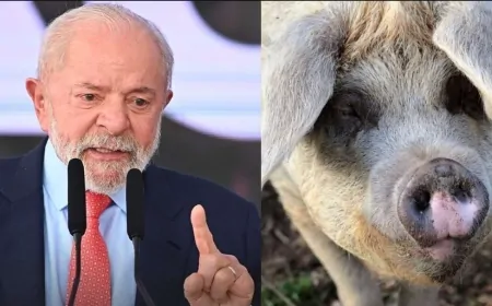 “Os porcos estão no comando”: Com brilhantismo, Coppolla usa a ficção para retratar a situação do país (veja o vídeo)