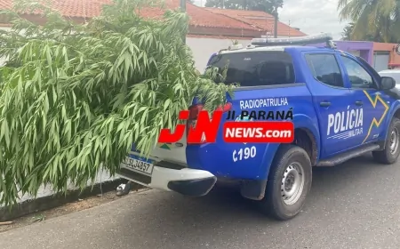 Homem é Preso em Flagrante por Cultivo de Maconha em Ji-Paraná