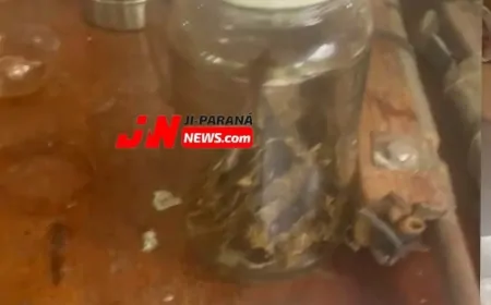 Ação policial no bairro São Francisco resulta na prisão de suspeito e apreensão de armas e drogas