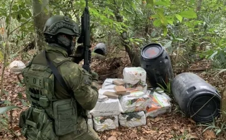Facções tomam a Amazônia e transformam floresta em rota do crime organizado