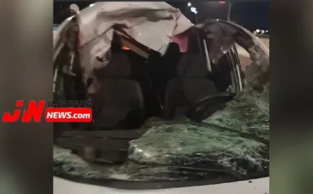 Veículo colide contra equino sobre a ponte do Rio Machado