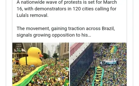 Elon Musk compartilha convocação de protestos pelo impeachment de Lula