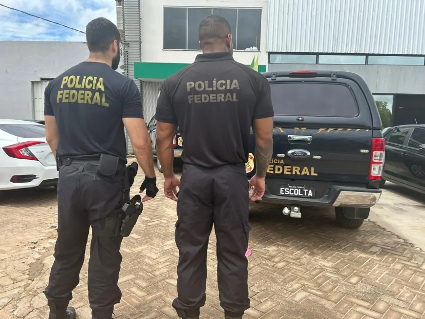PF deflagra operação para combater seguradora que explora ilegalmente o mercado de seguros