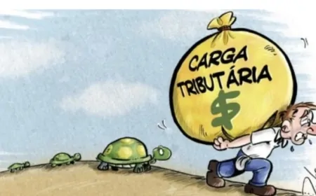A Carga Tributária Brasileira e o Risco de Colapso