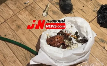 Mistério no fundo do poço: polícia investiga descoberta de possível ossada humana no bairro Boa Esperança