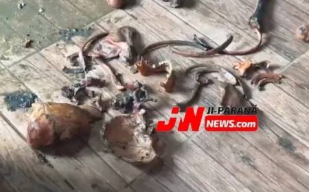 Corpo de Bombeiros resgata ossada em poço e Polícia Civil investiga possível homicídio