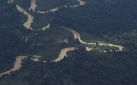 Amazônia: Desmatamento em maio de 2025 tem alta de 92%