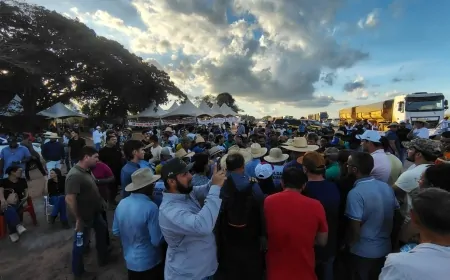 Protesto de produtores: BR-364 continua totalmente fechada na entrada de Cujubim