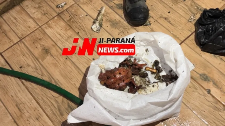 Mistério no fundo do poço: polícia investiga descoberta de possível ossada humana no bairro Boa Esperança