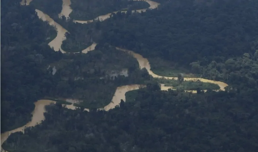 Amazônia: Desmatamento em maio de 2025 tem alta de 92%