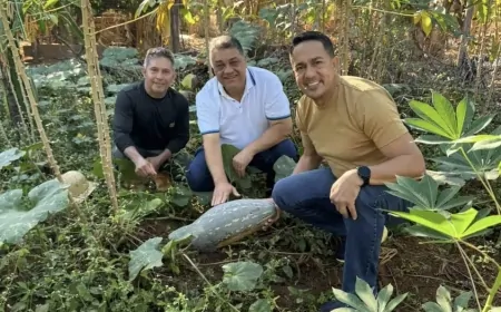 Deputado Eyder Brasil visita o Vale do Jamari e parabeniza agricultores pelas plantações