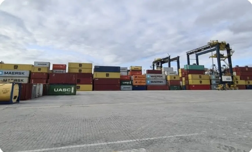 Tarifas dos EUA Levam a Cancelamento de Pedidos de Empresas Brasileiras
