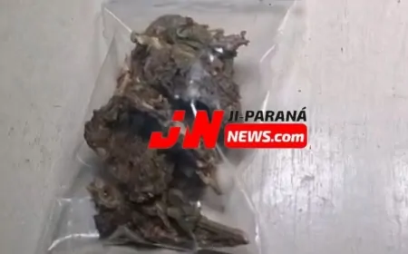 Denúncias da população levam Polícia a flagrar posse de drogas em bairro de Ji-Paraná