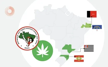 MST usará terras invadidas para plantar maconha, afirma site