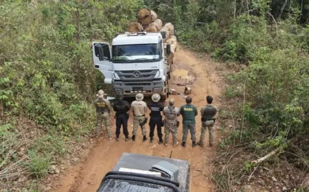 PF e IBAMA deflagra Operação na terra indígena Roosevelt