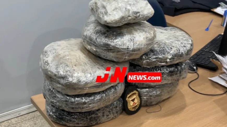 Operação Fronteira Segura intercepta drogas escondidas em encomenda em Ji-Paraná