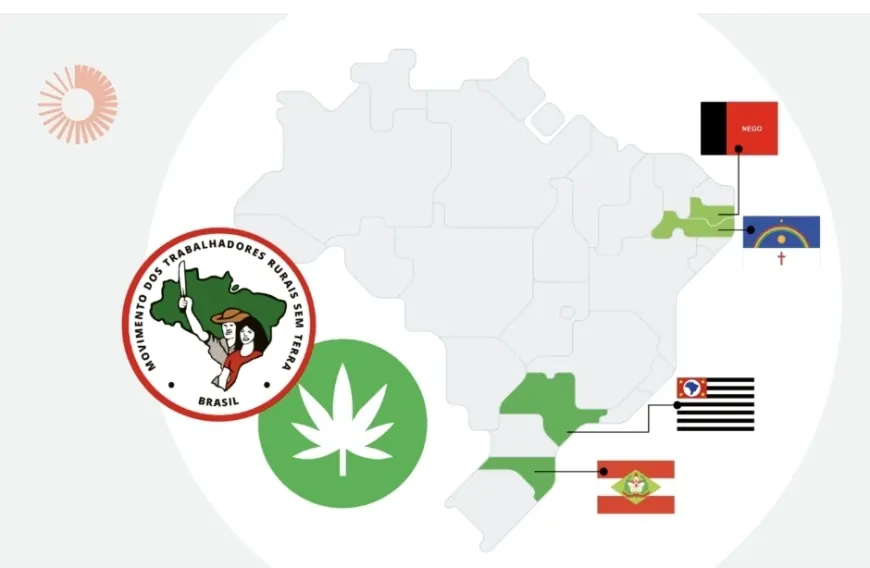MST usará terras invadidas para plantar maconha, afirma site