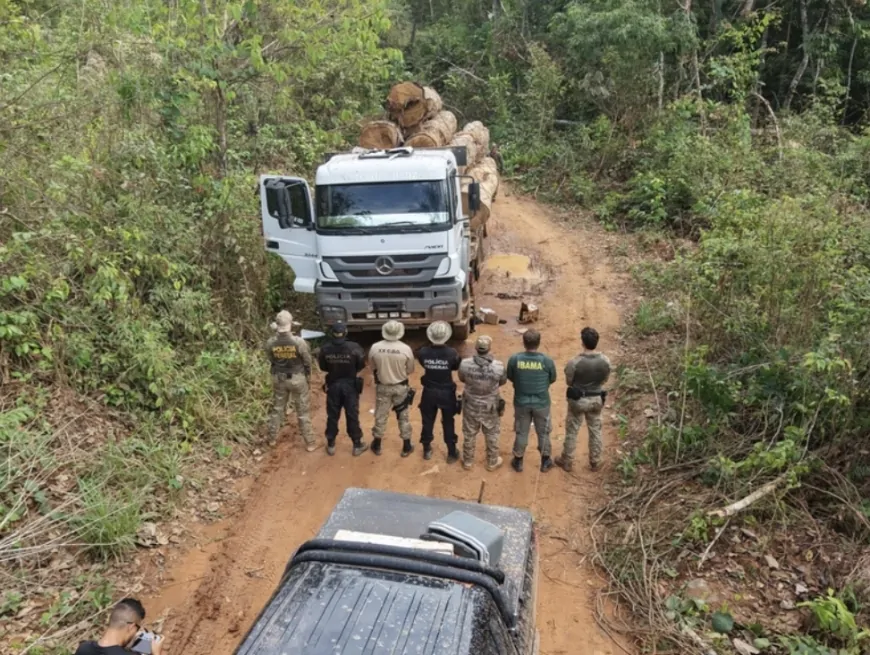 PF e IBAMA deflagra Operação na terra indígena Roosevelt