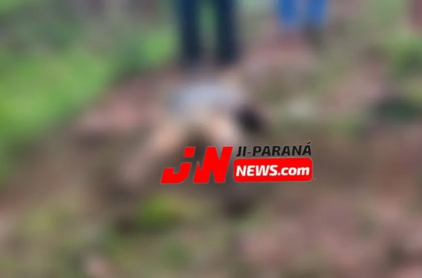 Corpo de trabalhador desaparecido é localizado em área rural de Presidente Médici