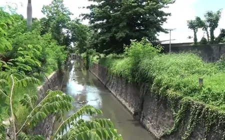 Mulher é agredida e arremessada em canal; Polícia investiga tentativa de feminicídio em Ji-Paraná