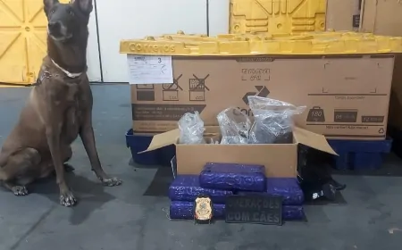 POLÍCIA MILITAR APREENDE 5 KG DE MACONHA EM DEPÓSITO DOS CORREIOS