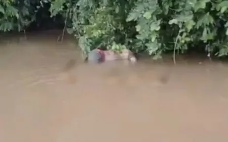 Corpo é encontrado em estado de decomposição no Rio Machado