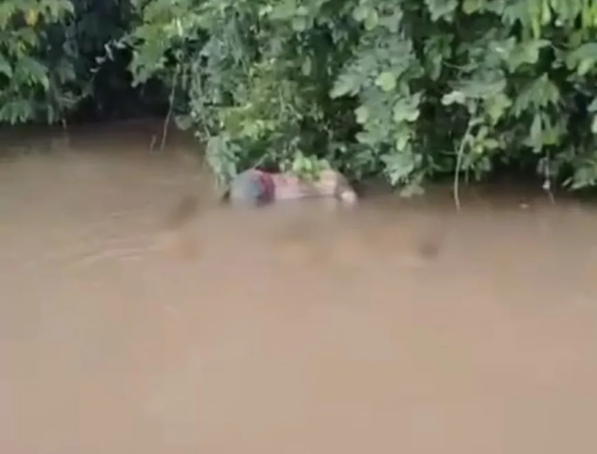 Corpo é encontrado em estado de decomposição no Rio Machado