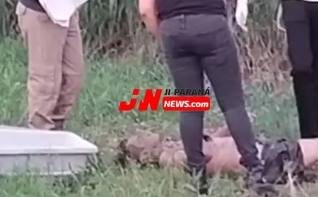 Corpo é encontrado em córrego na tarde de sábado em Ji-Paraná