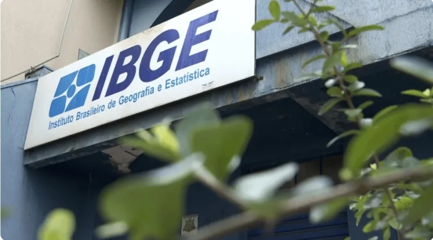 "O IBGE é um braço militante do PT", diz Economista