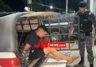 Homem tenta fugir pelo mato, mas acaba preso com drogas e balança em Ji-Paraná