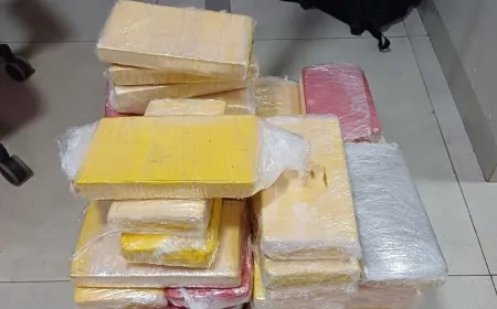 PRF em Rondônia apreende mais de 50 kg de cocaína na BR-364