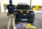 PRF apreende mais de 30 kg de cocaína durante abordagem na br-364 em ji-paraná