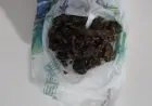 Polícia Militar apreende cerca de 50 gramas de maconha durante abordagem no bairro Nova Ouro Preto