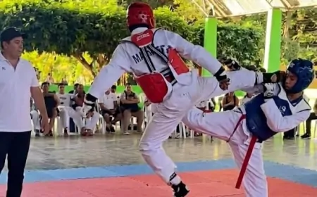 4º Open Sonho Meu de Taekwondo reúne 183 atletas em Ji-Paraná